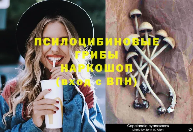 blacksprut сайт  Ливны  shop клад  Галлюциногенные грибы ЛСД 